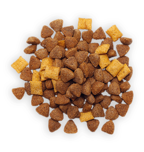 Dog Food 6 Dog Food 6