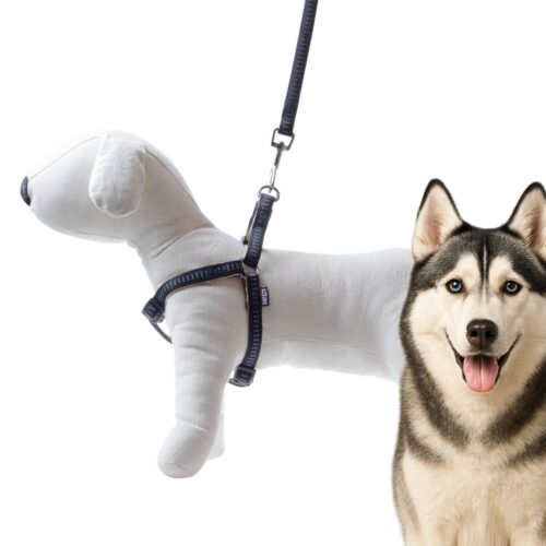 051fc0f8db3de6998fd9a8773d80fe6b