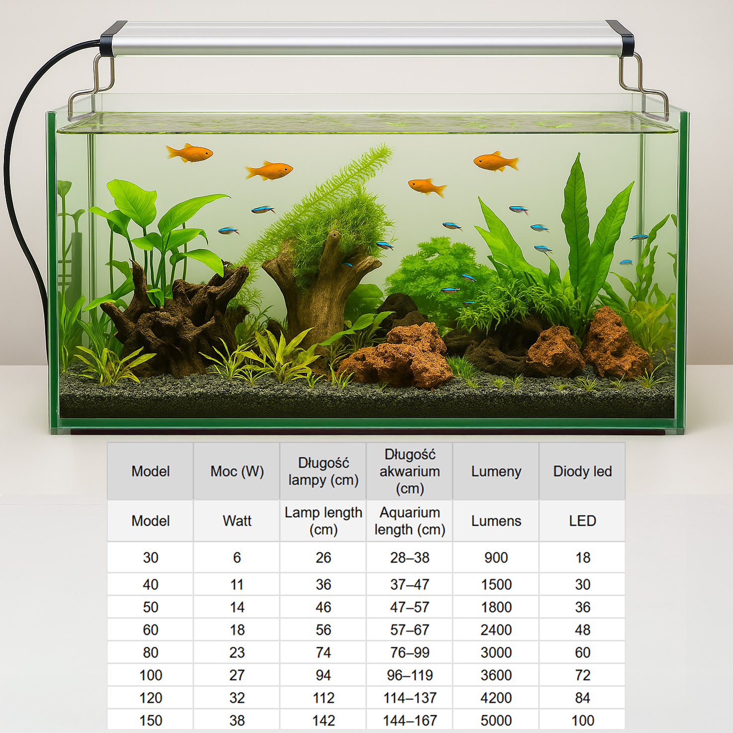 0808226c6ada33db1093646748f24712