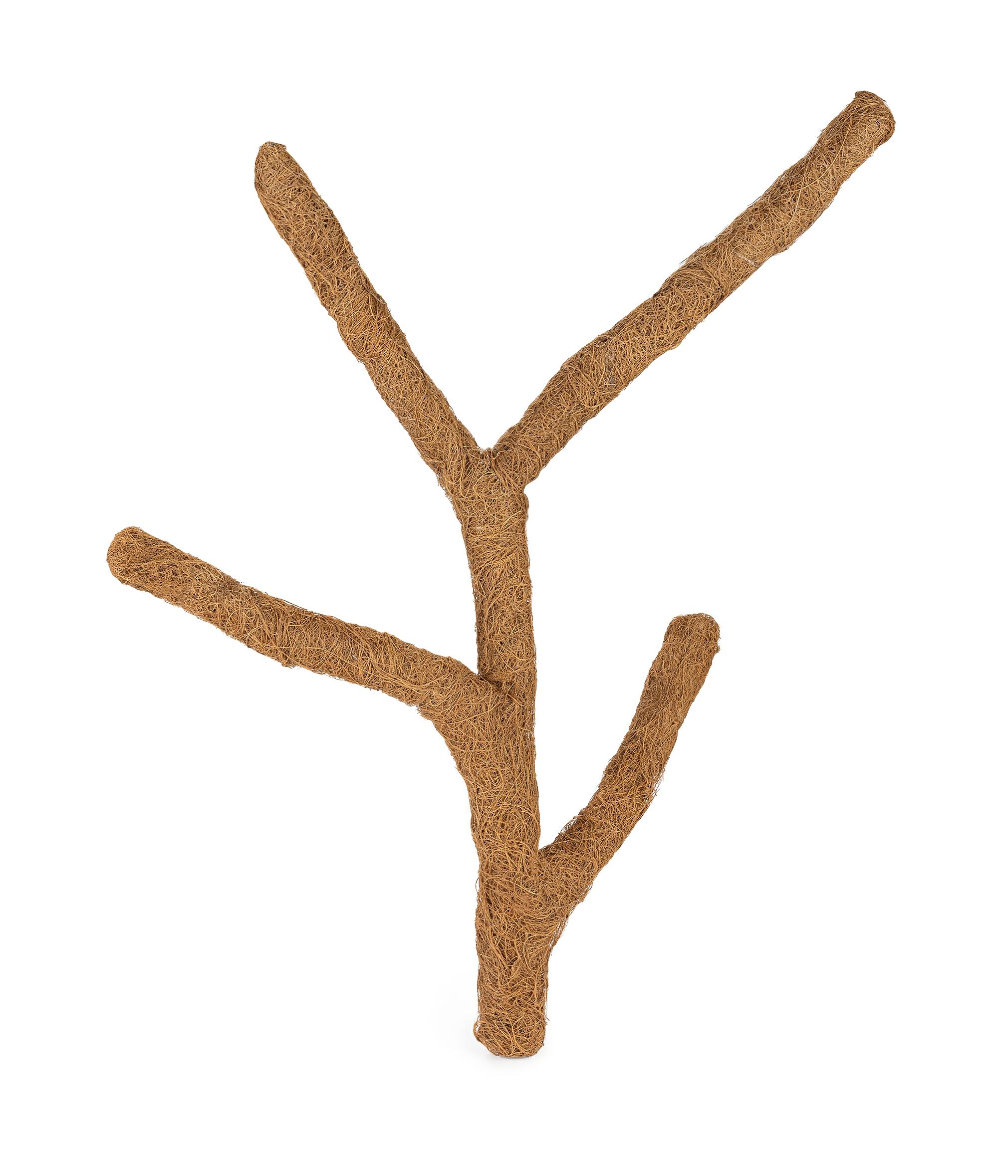 0922bfe4dbad9b95a92aee15c72c4d7c