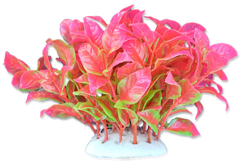 09daed8fcf2237d8d84193d618e14f2b