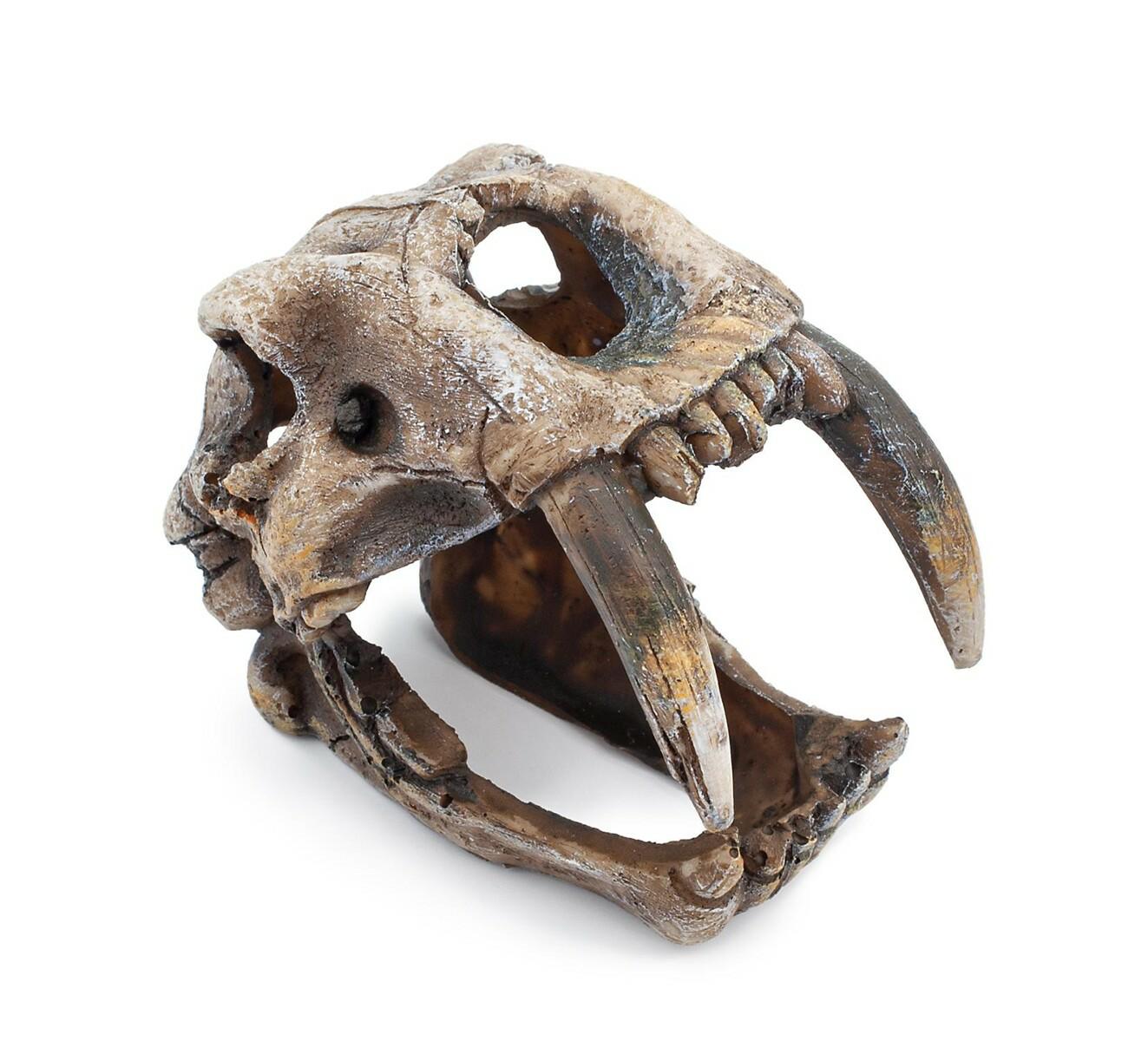 0ac9e2656da70acf21caab83525a4986