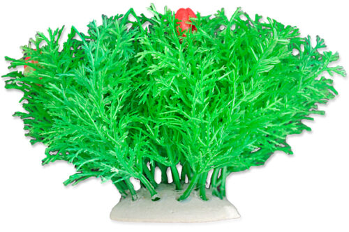 0d5d0c5003fb8bcda88a176bccfaed12