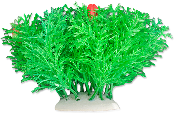 0d5d0c5003fb8bcda88a176bccfaed12