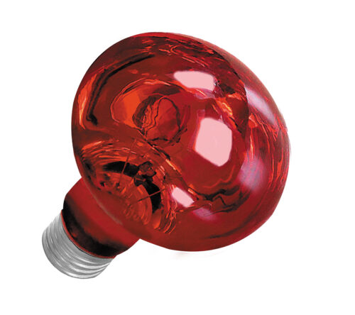 0f2eddf241527a2799767cbd98237127