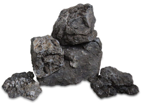 117a65a83994e3540062c21cca3dc631