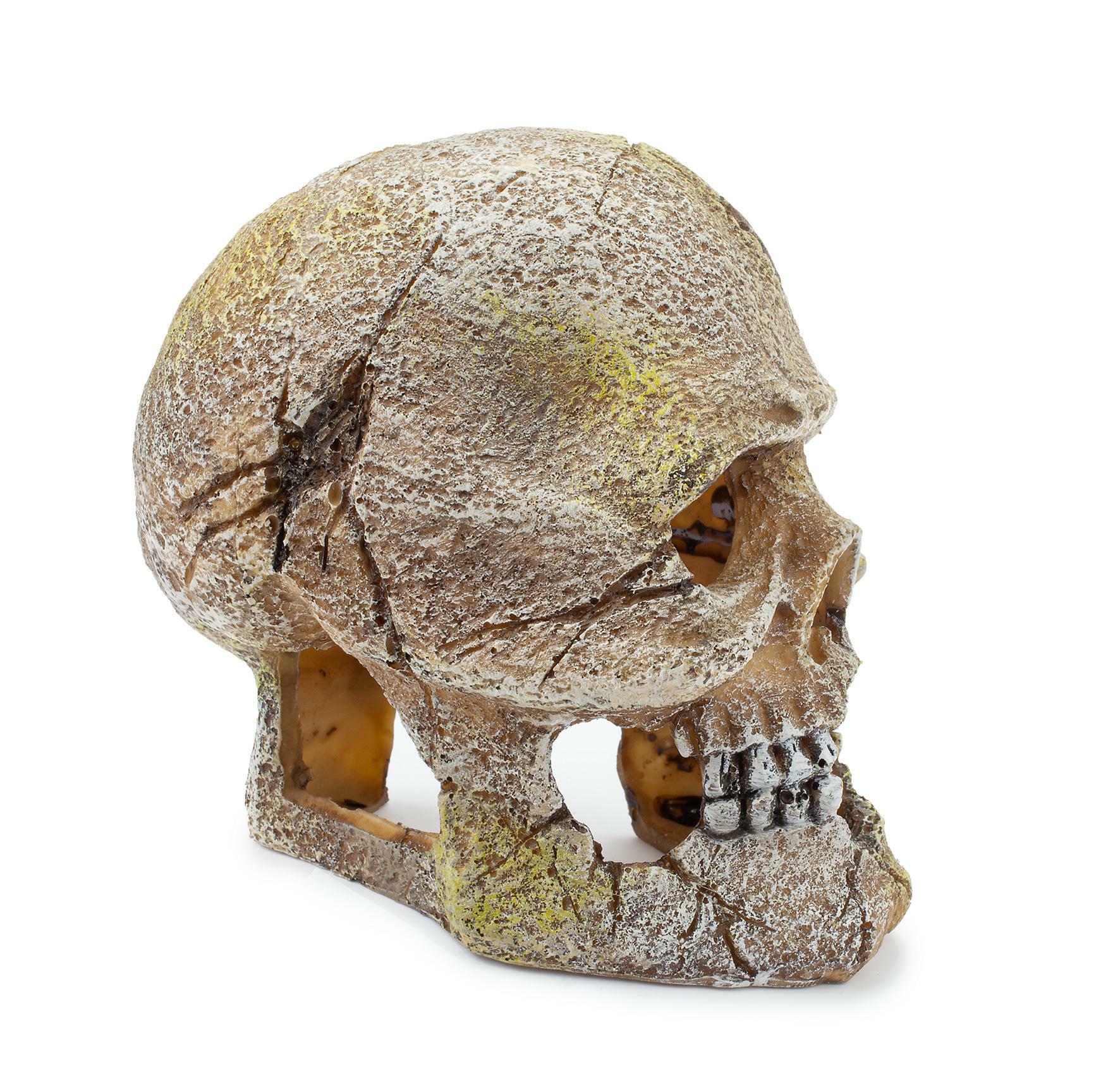 11ef7dcc329a9053ec5870a7cd05eae2