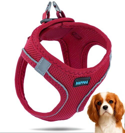 13e05814e3d64baf1749f9956c0385ec