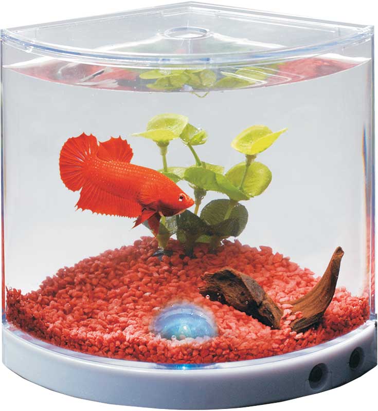 145a71026f01d4522d659eb99afc51ad