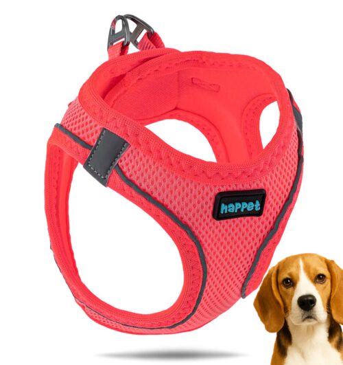 18653929003bf8f039fba33914eb2d1b