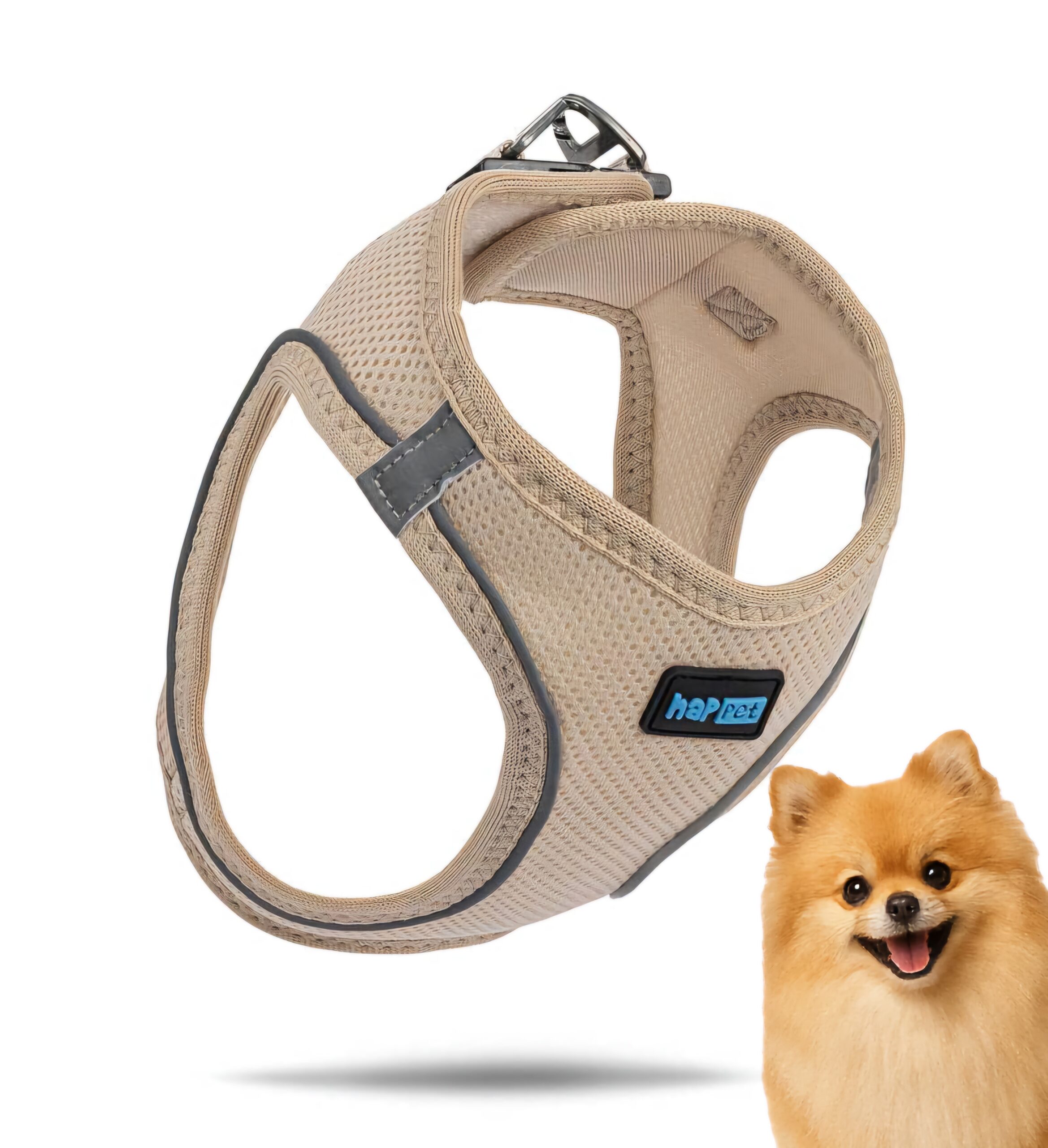 195b14061325f9b3e4f6104898aa8e03