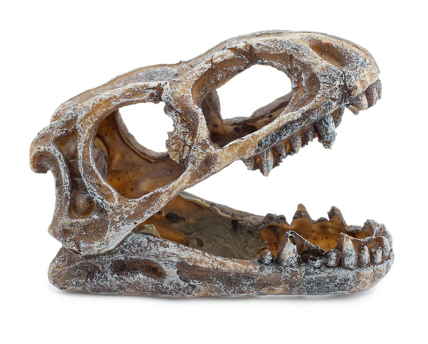 19abe3a3742c5f4f3b6e85abb5d8b3f6