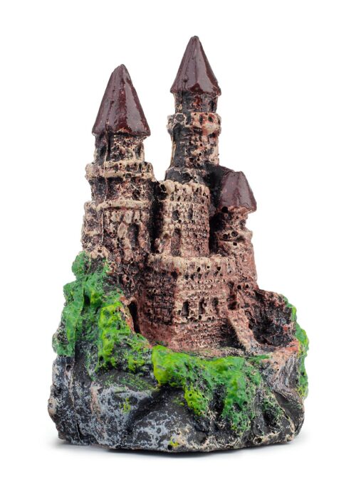 1ccd6f2a1c36a28fc87ba80ab673fedb