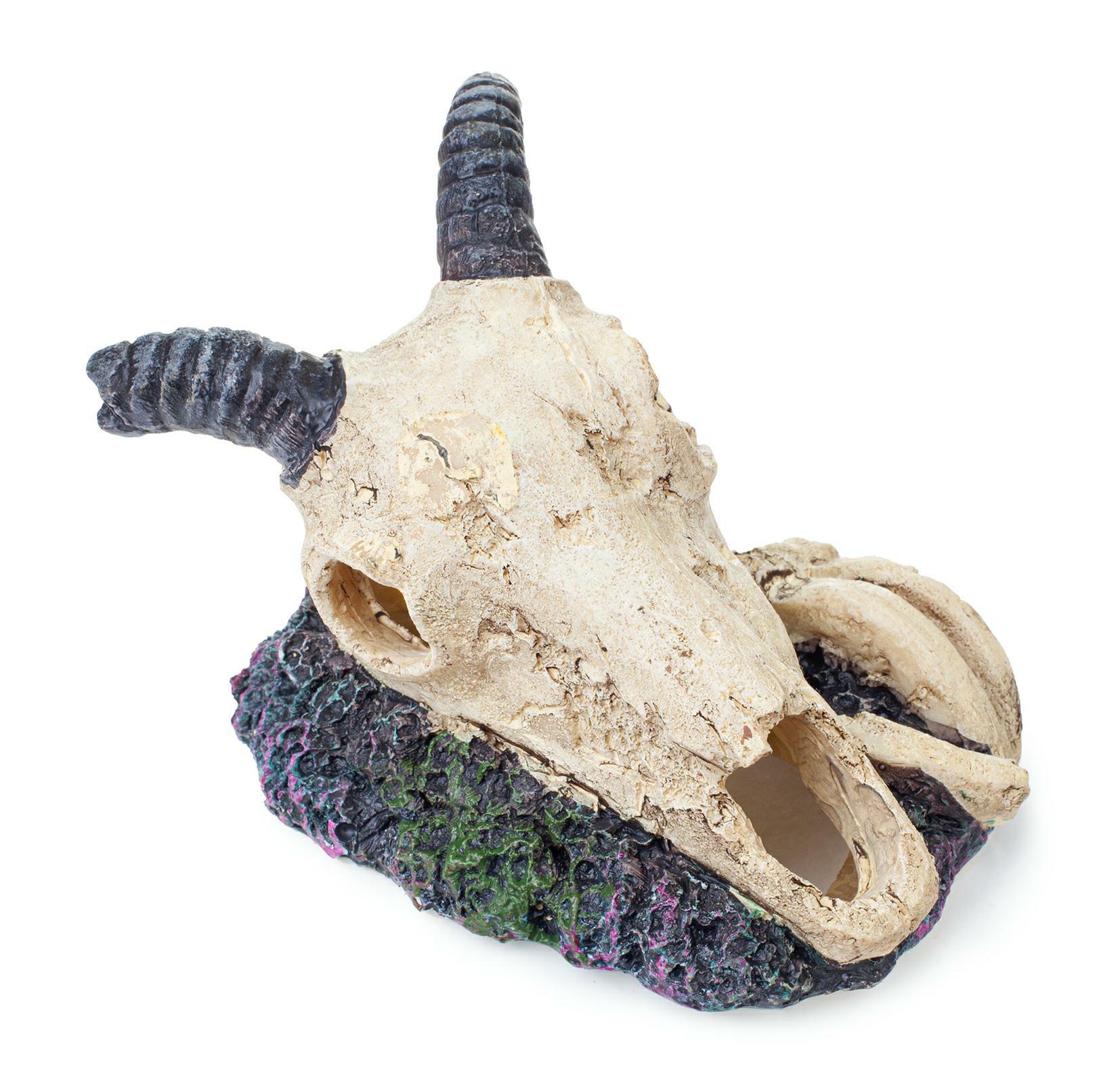 21ce5ff41f53de870cd5a6075a2a9f4f