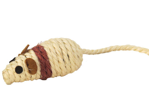 2496f642d133b0b93b9e02a291041e4e