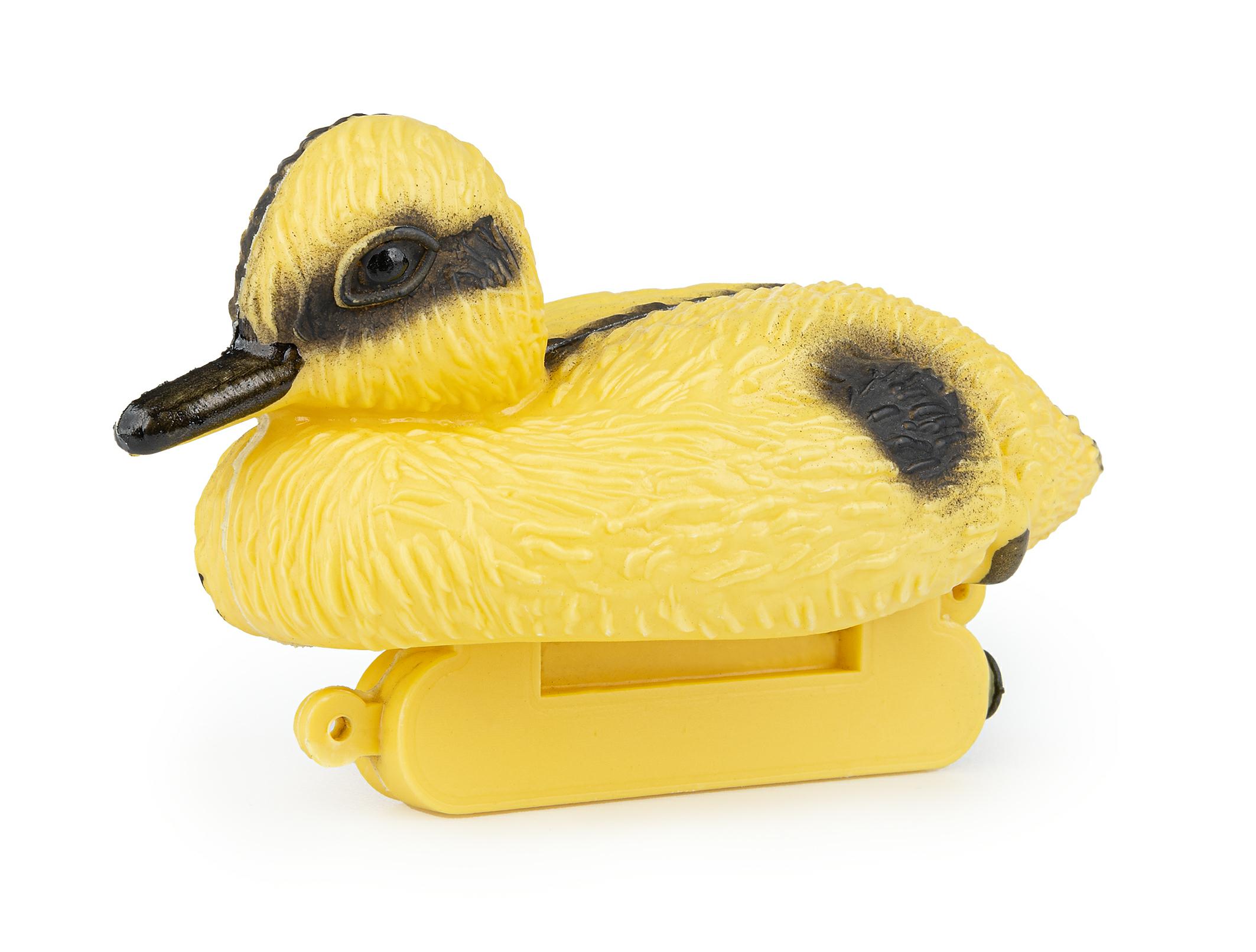 26a0ad97a2eea0fc011111b1f8b52ca2