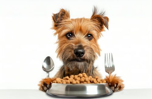 271c99fec41b3c75b94c9b5854cb09ea