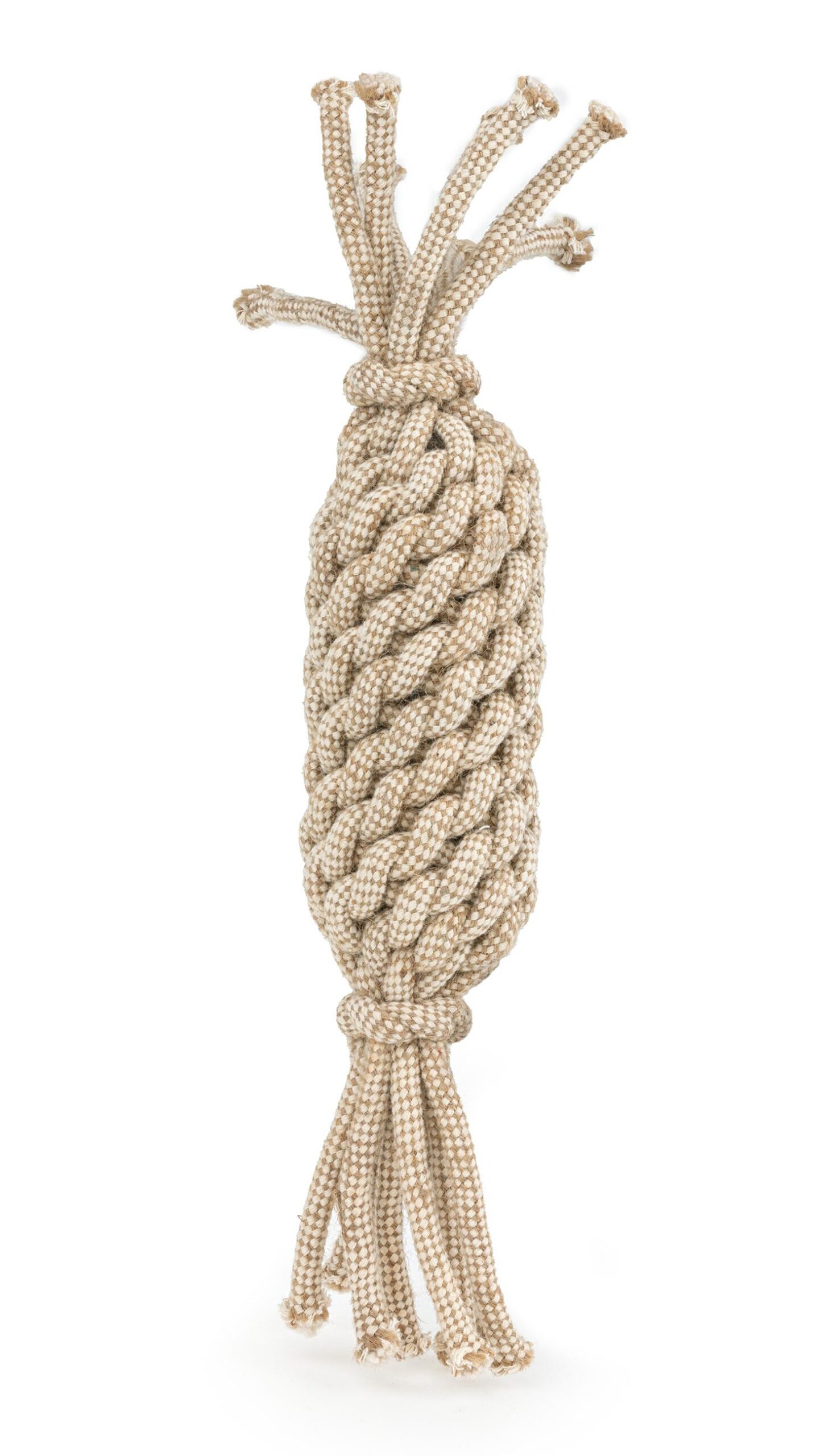 2b5da571613d34542c178e55b42a3cca