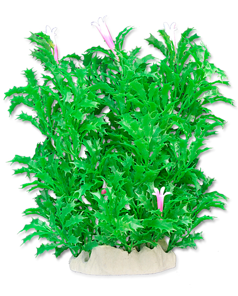 2e078b4cc385cd077dd2de8d5e0d77b2