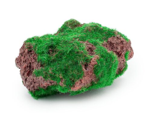 35b1570b699903b3d07df3db1da4d853