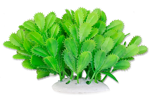 374636b7e0a3d58385523da3ce7d5943