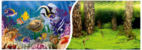 3786d9144cde1eafa56d317219aa2f54