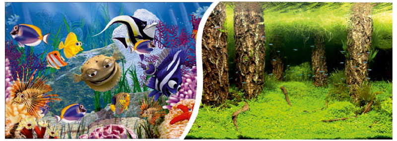 3786d9144cde1eafa56d317219aa2f54