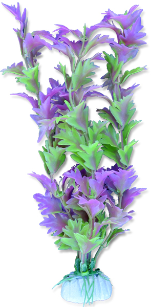 3922f9849f5d76b06a9ac3229873823a