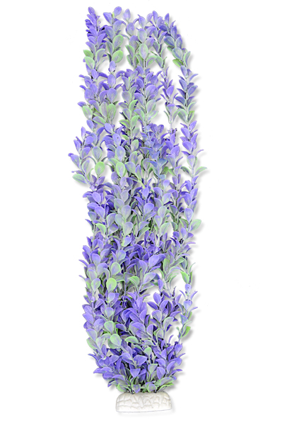 3d4f3ff08033f8240825ad32cf7377c5