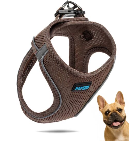 3dfe381135af0fe12512b2c24eeae219