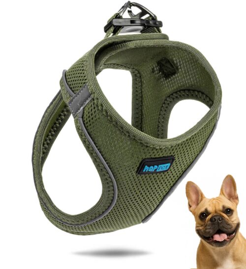 41556691b995dc94236b5a4d312a7621