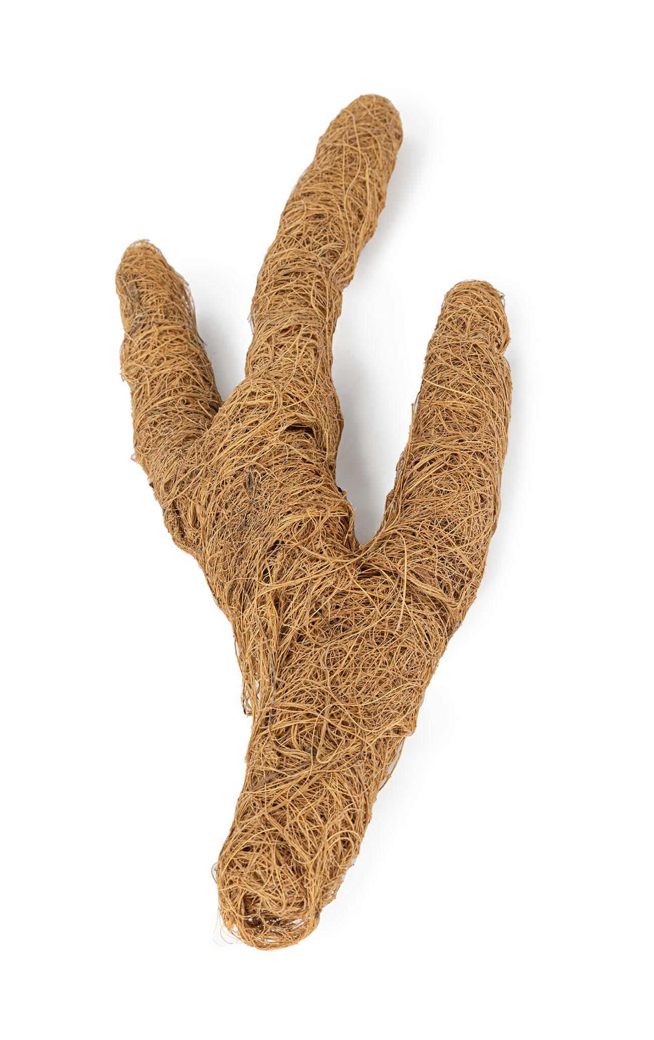 43591be42ec3960d5c481c536755cf79