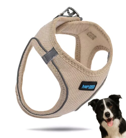 4457b728d50988a1375426589cdfca2d