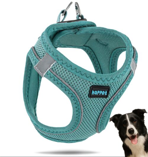 468f587d778a5e7d5ba77e7585380441