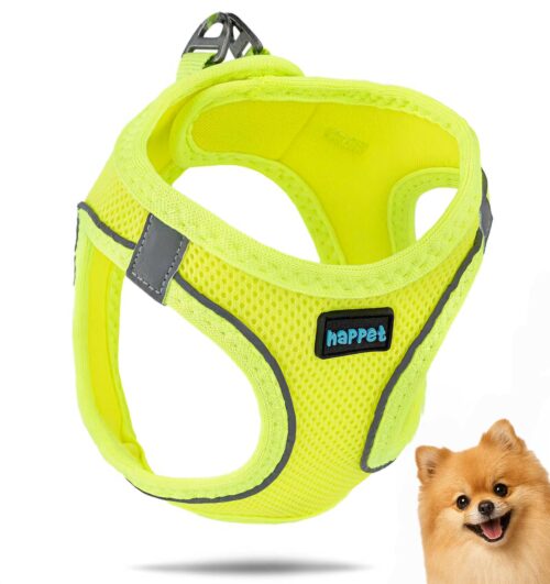 48be432adfa12bbad78420905a4f2e50