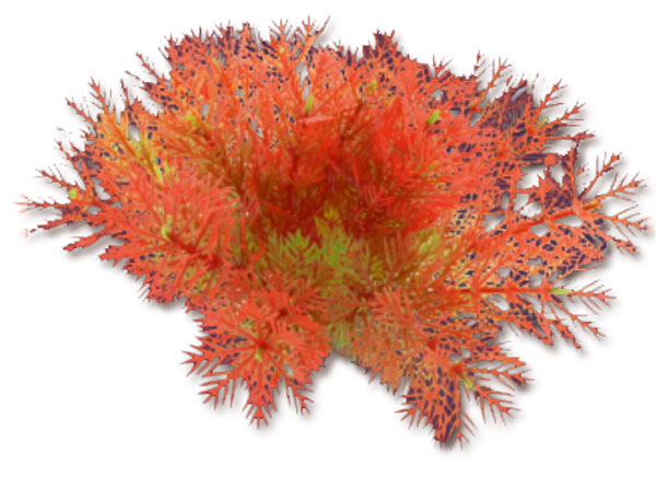 49b66bf84f3e7d3cda84a34a7218d87d