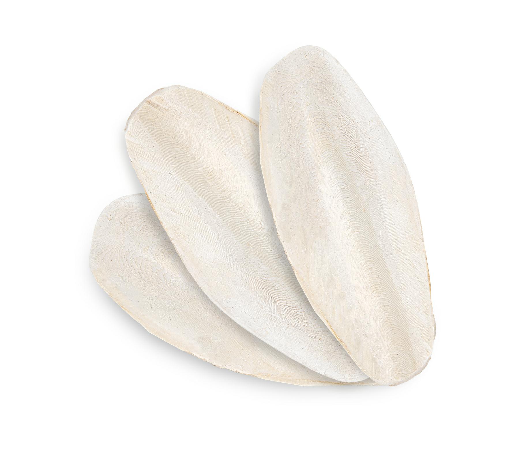 4e797b8f2343a6d6f702422012b972d1