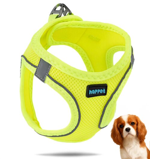 4fc1bf46886fde19a0ff1e60ddb1a4cc