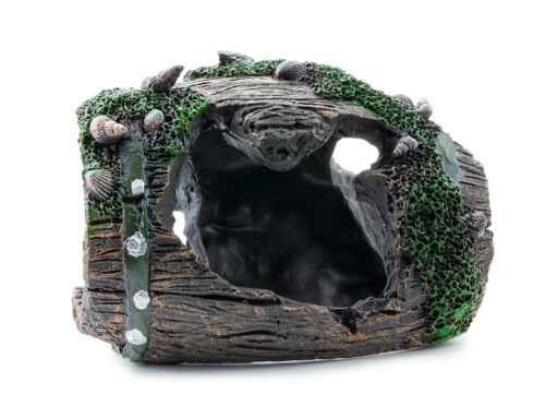 50cce46901341ba91cfa028ff58aa78f