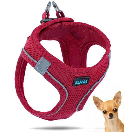 556f2488ba1f8f109ffe0c6fa609eaca