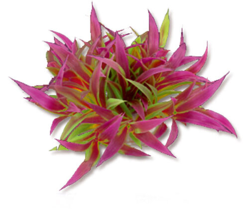 5666587121948c4688348f5aa051d76b