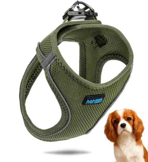 583abb125ecd45a2134e175ff48d4c15