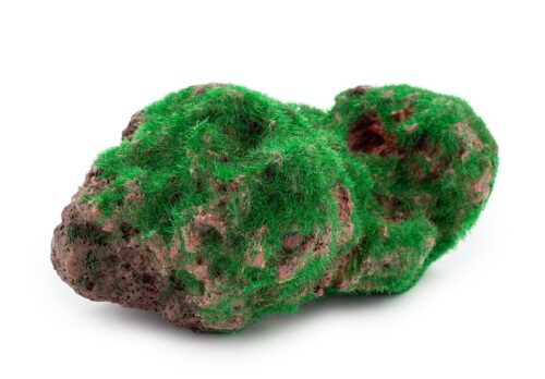 5b08ede4693d3bbf2e1989cdad84f39f