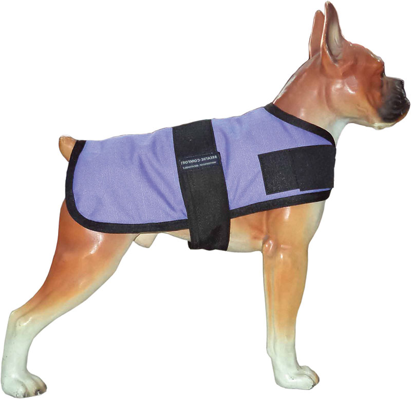 5fbbb2cc6cc0511f4731cc895af26236