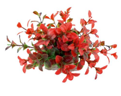 606dd3b1174302ec24d9835ad76b8787