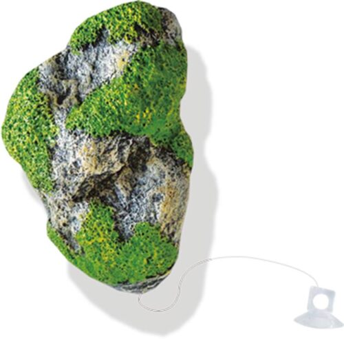 61ce64ab11f284a604e11de145cbdfab