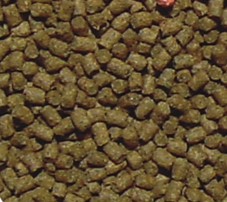 6446f2689fb4d70724e649b43db85c7e