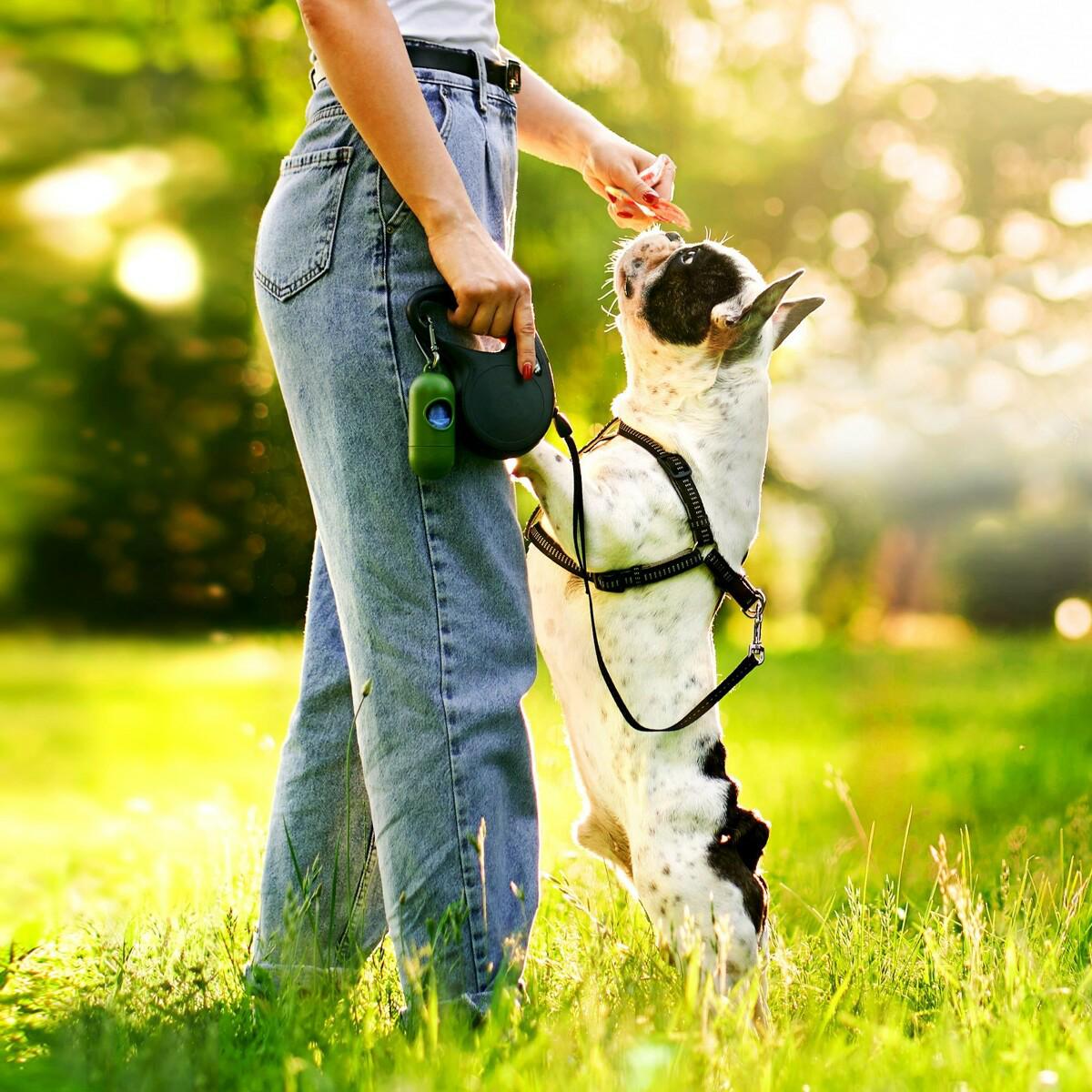 64bed6da818dff42dc1d9de73fde598b