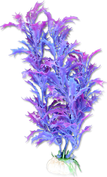 64e34ba21d189ddfebd36b95f9b30c98