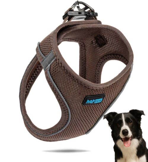 68318e357c698298c0e4c78ff5421dfe